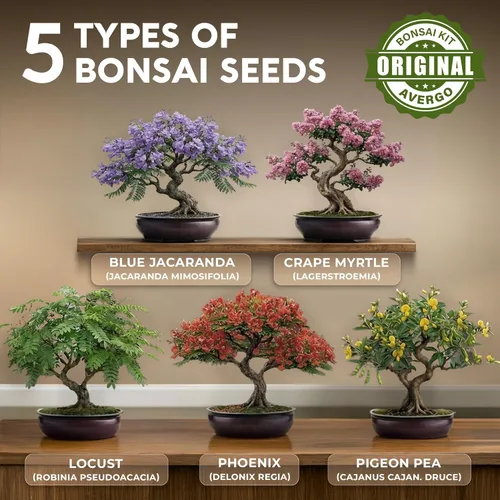 Miniatura 2 de Kit de árbol bonsái clásico, 5 árboles bonzai japoneses únicos Kits completos de inicio de bonsái de interior para árboles en crecimiento