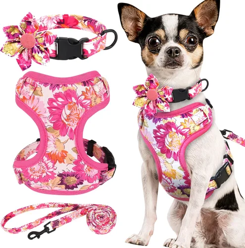 Miniatura 12 de Beirui Collares, arneses y correas lindos para perritas, conjunto - Collar y correa ajustable para perros con flores - Arnés de malla suave