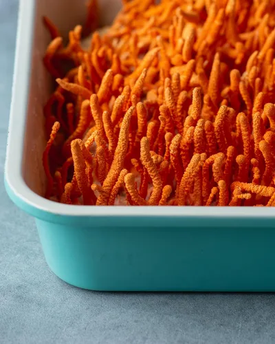 Miniatura 12 de Mezcla Cordyceps de bienestar de hongos con cápsulas Reishi: cápsulas orgánicas de hongos, suplemento en polvo de hongos, apoya el sistema