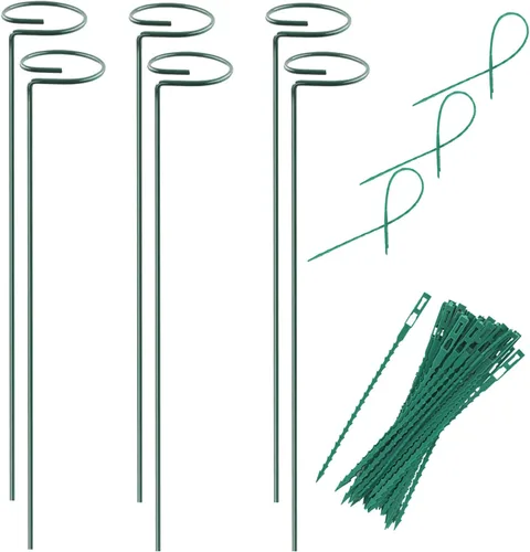 Soporte de estaca para plantas, paquete de 6, anillos de soporte de jaula de plantas de un solo tallo para jardín, estacas de soporte para plantas