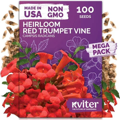 Miniatura 32 de KVITER 1600 semillas de pensamiento de los gigantes suizos para plantar (Viola wittrockiana) - Paquetes de semillas de colores mixtos Flores