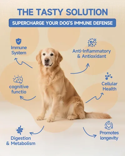 Miniatura 2 de Suplemento orgánico de hongos para perros, mezcla 18 en 1 con cola de pavo, reishi, melena de león. Apoya la defensa inmunológica, alivio