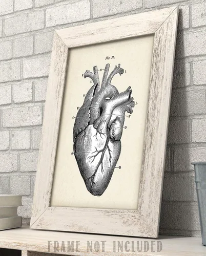 Miniatura 4 de Anatomical Heart - Impresión artística de anatomía sin marco de 11 x 14 pulgadas, póster de anatomía vintage para médicos, enfermeras, estudiantes