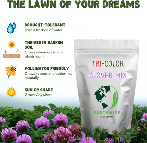 Miniatura 4 de Earthwise Tri-Clover - Mezcla de semillas alternativas para césped, blanco holandés, carmesí y trébol rojo, fijación de nitrógeno, orgánica, de bajo