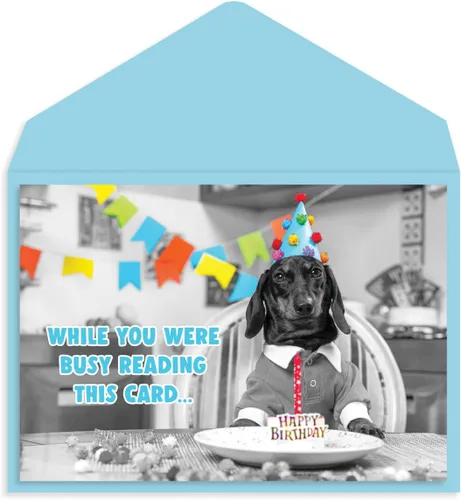 Miniatura 26 de Graphique Tarjeta de Cumpleaños All Wrapped Up Perfecta para Cualquier Persona que Ama a los Perros Familia y Amigos Sobre Coordinado