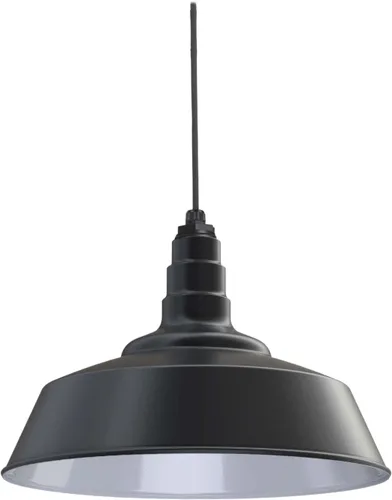 Miniatura 24 de Steel Lighting Co. Manhattan Warehouse Light Lámpara colgante montada en el techo Cúpula de 20 pulgadas Montaje al ras Luz de granero