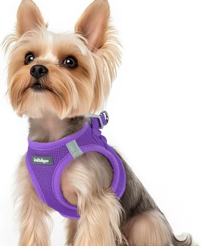 Miniatura 36 de rabbitgoo Arnés para perro pequeño, chaleco de malla suave para cachorros con hebilla de seguridad, arnés reflectante transpirable para mascotas