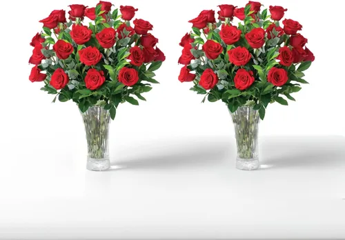 Miniatura 7 de Aquarossa Farms Flores frescas cortadas para entrega, regalos para graduación, cumpleaños, aniversario o simplemente porque - 24 rosas frescas rojas