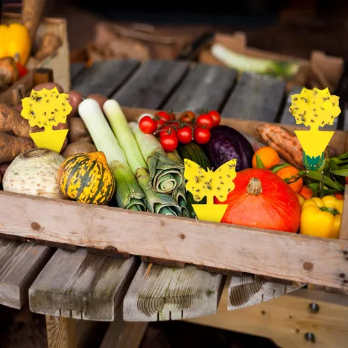 Miniatura 6 de Pack de 120 trampas adhesivas para moscas de la fruta, trampas pegajosas para interiores para matar mosquitos y mosquitos voladores, trampa