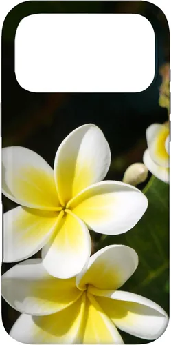 Miniatura 22 de iPhone 12/12 Pro Plumeria Flower - Carcasa amarilla
