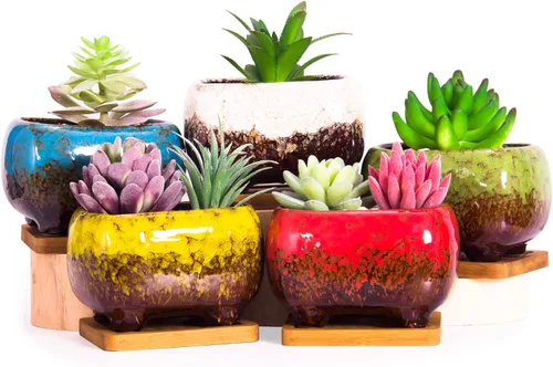 ARTKETTY Macetas de cerámica para suculentas de 4.7 pulgadas con drenaje, juego de 5, macetas rectangulares para bonsái con bandejas de bambú,