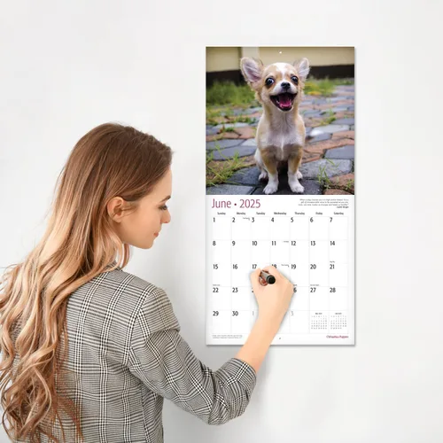 Miniatura 4 de RED EMBER Chihuahua Puppies 2025 Calendario de pared de 12 meses 12 x 24 pulgadas abierto Papel grueso y resistente Regalo Calendario 2025