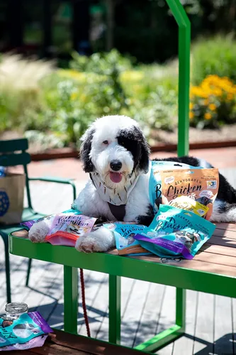 Miniatura 7 de Pet Jerky Factory Golosinas prémium de pollo y batata para perros de 12 oz. 100% grado humano Fabricado en EE.UU. Alto en proteínas Sin
