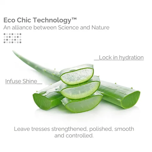 Miniatura 2 de GIOVANNI Eco Chic Smooth as Silk - Champú de humedad profunda - Manzana + extractos de aloe, calma el encrespamiento, desenreda, lava y listo, sin