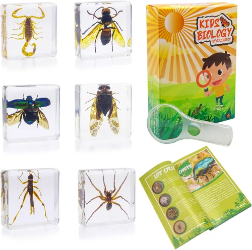 Miniatura 9 de Juego de muestras de insectos, colección de insectos, regalo educativo científico para niños de 3 a 8 a 12 años