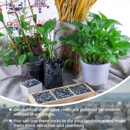 Miniatura 2 de Piedras de río de 2.4 libras para plantas y suculentas, paisajismo decorativo al aire libre y rocas de jardín de acuarios