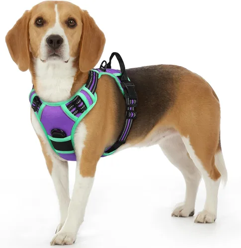 Miniatura 57 de Eagloo Arnés para perro pequeño, sin tirones, chaleco de servicio con tiras reflectantes y asa de control, ajustable y cómodo para caminar, arnés