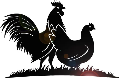 Vinilo adhesivo para pared, diseño de pájaros, granja, animales, pueblo, gallo, pollo, decoración grande (g5650), color negro