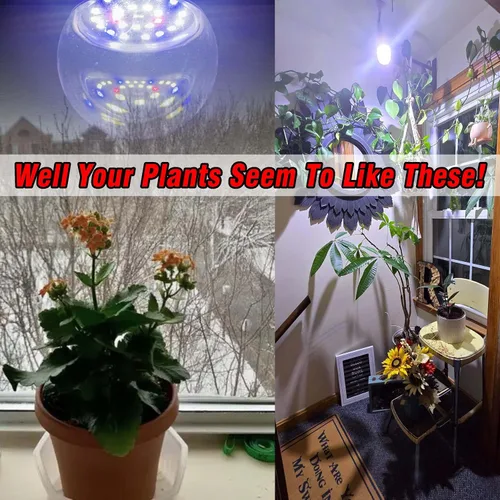 Miniatura 4 de Bombillas de crecimiento de espectro completo con candelabro E12 rojo azul 5000K E12, base pequeña, 9 W, bombilla de crecimiento de luz solar que