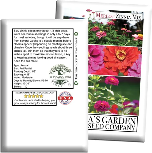 Miniatura 7 de Zinnia Merlot Mix - Semillas de flores para plantar, más de 200 semillas de flores por paquete, meteorito, príncipe morado y escarlata llama