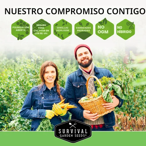 Miniatura 8 de 10 Power Greens Seed Collection - Coles de reliquia, mostaza, acelgas, espinacas, col rizada, tatsoi, pak choi y más para plantar otoño y primavera