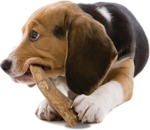 Miniatura 10 de Nylabone Healthy Edibles WILD - Golosinas naturales masticables para perros grandes, de larga duración, para perros saludables, cuernos masticables