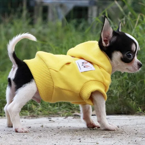 Miniatura 6 de LOPHIPETS Sudaderas con capucha de algodón para perros pequeños, chihuahua, ropa para cachorros, abrigo para clima frío, color amarillo, XXS