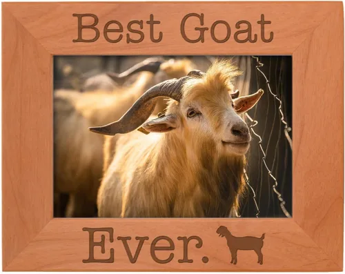 Miniatura 10 de ThisWear Goat Lover Gifts Best Goat Ever - Marco de fotos de madera natural grabado de 4 x 6 pulgadas
