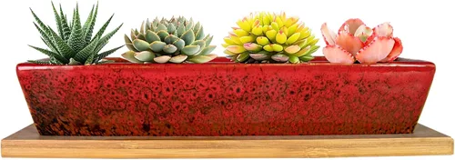Miniatura 8 de ARTKETTY Macetas para suculentas, macetas de cerámica para suculentas de 9.8 pulgadas con drenaje, maceta pequeña para bonsái con bandeja de bambú