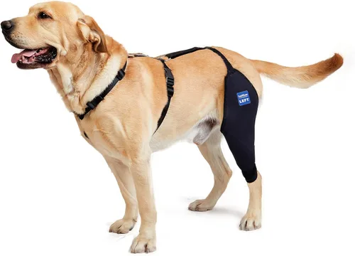 Miniatura 12 de Rodillera para perro con arnés y cinturón de conexión, ligera y elástica, soporte para pierna trasera desgarrada del ligamento cruzado anterior