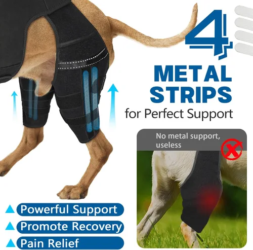 Miniatura 2 de Rodillera de perro para pierna trasera Acl, soporte de pierna de perro para pierna trasera, soporte de cadera ajustable para reducir el dolor