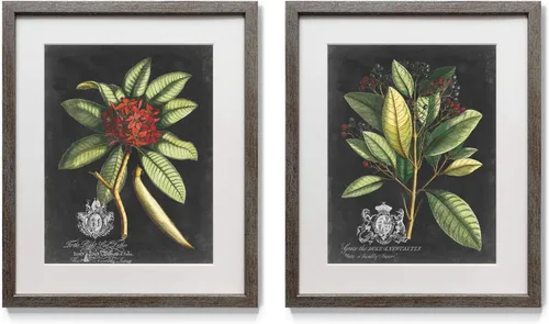Miniatura 26 de Arte floral para pared, marco rústico de plata envejecida, juego de decoración de pared de 2 piezas: plumeria, caléndula, flores silvestres, Black