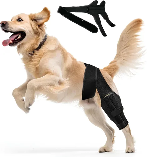 Rodillera ajustable para perro, perfecta para la recuperación, prevención y soporte cómodo de ligamentos desgarrados, lesiones de rodilla, corneta y