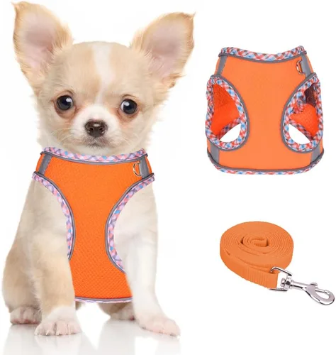 Miniatura 11 de Arnés para perro para perros pequeños y medianos sin tirones, ajustable para cachorros, arnés de malla transpirable reflectante para mascotas
