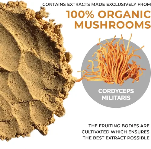 Miniatura 8 de Real Mushrooms Mezcla de chocolate caliente (15 porciones) y Cordyceps (60 porciones) en polvo – Suplemento en polvo de hongos para energía