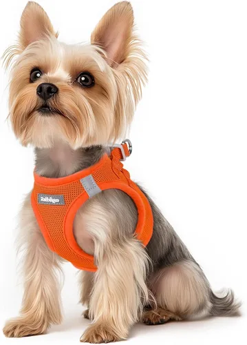 Miniatura 38 de rabbitgoo Arnés para perro pequeño, chaleco de malla suave para cachorros con hebilla de seguridad, arnés reflectante transpirable para mascotas