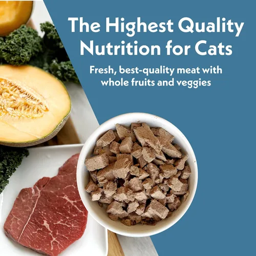 Miniatura 6 de Fresh Is Best Alimento liofilizado de carne de res para gatos, alimento crudo para gatos y felinos adultos, carne de res liofilizada con alto