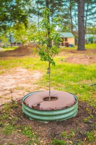 Miniatura 7 de Vego garden Bolsa de riego para árbol/anillo de 16 galones, bolsa de riego de PVC extremadamente resistente para árboles y arbustos, sistema