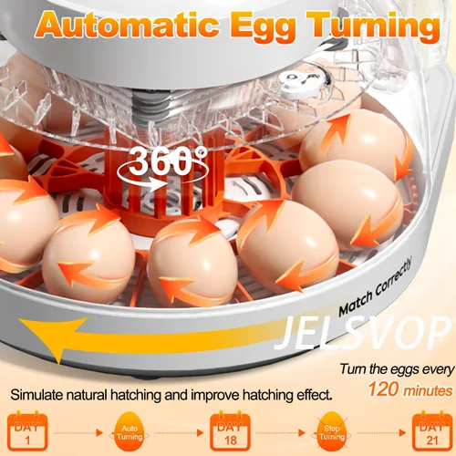 Miniatura 2 de Incubadora de huevos mejorada para incubar huevos, capacidad de 12 huevos con girador automático de huevos, control de temperatura y humedad, vela