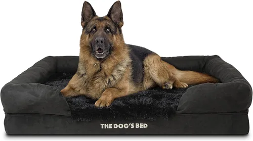 Miniatura 49 de The Dog's Bed - Cama ortopédica de espuma viscoelástica para perros medianos, colchón de soporte de alta densidad, entrada frontal baja, funda negro