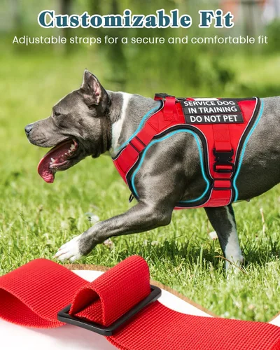 Miniatura 4 de Chaleco de perro de servicio para perros medianos, arnés de perro de servicio en entrenamiento con parches, chaleco ajustable para perros