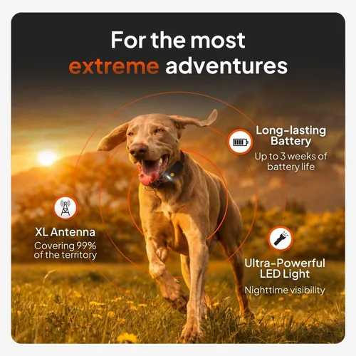 Miniatura 2 de Weenect Dog XT - Nuevo collar GPS para perros Antena XL Impermeable Collar Julius-K9 integrado ultra duradero Requiere suscripción