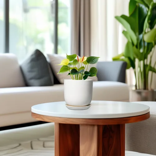 Miniatura 4 de Maceta de Cerámica para Plantas de Interior de 5 Pulgadas - Maceta Redonda para Plantas Suculentas con Agujero de Drenaje y Platillo, Decoración