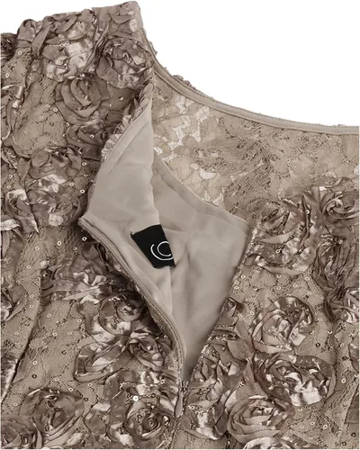 Miniatura 3 de Alex Evenings Vestido de encaje de roseta de manga corta para mujer, talla grande