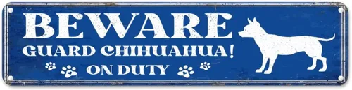 Letreros de metal con texto en inglés «Beware of Dog» «Beware of Dog» «Beware of Dog» (Beware of Dog) «Beware of Dog» (Beware of Dog) «Beware of