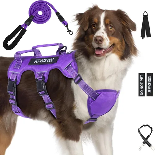 Miniatura 16 de Arnés para perro a prueba de escape para perros grandes y medianos de seis puntos ajustable, juego de chaleco arnés y correa para perro de servicio
