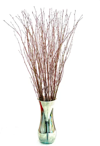 Miniatura 2 de ECOVENIK 25 piezas – Ramas – 28.7 in, ramitas de abedul natural, paquete de 20-25 tallos, largo para jarrones de suelo, (color marrón natural)