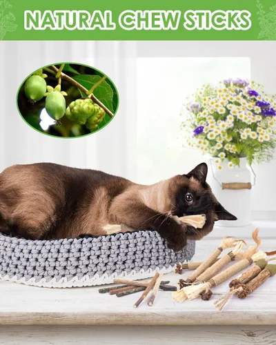 Miniatura 2 de TINDTOP Juguetes masticables de hierba gatera para gatos, paquete de 12 palitos de vid plateada natural para limpieza de dientes de gatitos, cuidado