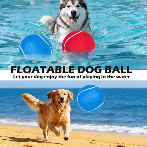 Miniatura 7 de EXPAWLORER Pelotas de tenis gigantes para perros – 2 pelotas interactivas de 9.5 pulgadas para entrenamiento en interiores y exteriores, juguetes