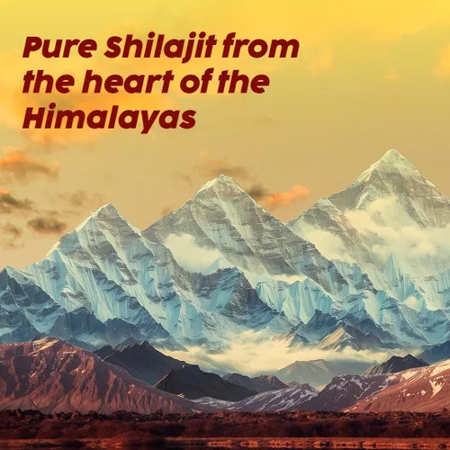 Miniatura 3 de Plix Pure Himalayan Shilajit - Tabletas efervescentes de 250 mg con musli seguro y azafrán, energía natural y apoyo de fuerza, sabor naranja, 120